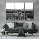 Black and White Highland Cow Canvas Wall Art, Longhorn by MyGreatCanvas | Canvas Wall Art Prints | Photo Prints & Wall Decor