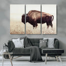Bison in Field Wall Art Canvas Print For Farmhouse Barn