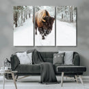 Bison Wall Art Canvas Print For Farmhouse, Animal Canvas