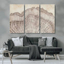 Tree Ring Wall Art Triptych, Rustic Wood Ring Canvas Print,