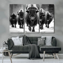 American Bison Art | Buffalo Herd Wall Art Canvas Print, BW