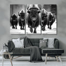 American Bison Art | Buffalo Herd Wall Art Canvas Print, BW
