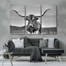 Texas Longhorn Cow Wall Art, Texas Longhorn Canvas, Cattle