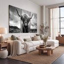 Scottish Cow Wall Art Canvas Print | Longhorn Wall Art |