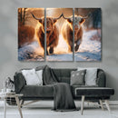 Scottish Highland Cow Horn Farm Wall Art Canvas Print