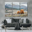 Highland Cow Horn Farm Wall Art Canvas Print