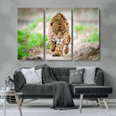 Leopard on the Prowl - Stunning Large Framed Leopard Wall