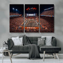 Texas Stadium Night Game Wall Art Canvas Print – Vibrant