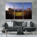 Iowa Hawkeyes Kinnick Stadium Wall Art Canvas Print, Framed