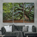 Historic Tree Wall Art – Framed Mossy Branch Canvas Artwork, by MyGreatCanvas | Canvas Wall Art Prints | Photo Prints & Wall Decor
