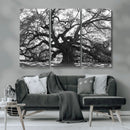 Ancient Oak Wall Art Canvas Print – Gnarled Tree Twisted by MyGreatCanvas | Canvas Wall Art Prints | Photo Prints & Wall Decor