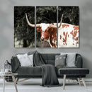 Texas Longhorn Wall Art Canvas Print – Framed Spotted Bull