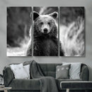 Grizzly Bear Wall Art Canvas Print – Framed Black White