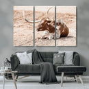 Texas Longhorn Wall Art – Framed Resting Bull Canvas by MyGreatCanvas | Canvas Wall Art Prints | Photo Prints & Wall Decor