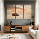 MyCanvas -