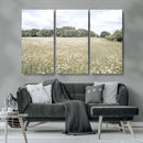 Charming Daisy Field Wall Art Canvas Print – Framed Pastel