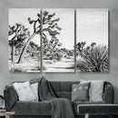 Joshua Tree Wall Art – Black & White Canvas Print, Nature by MyGreatCanvas | Canvas Wall Art Prints | Photo Prints & Wall Decor