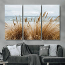 Beach Grass Wall Art – Framed Coastal Dunes Canvas Artwork, by MyGreatCanvas | Canvas Wall Art Prints | Photo Prints & Wall Decor