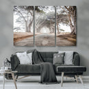 Cypress Tunnel Wall Art – Framed Misty Road Canvas Artwork, by MyGreatCanvas | Canvas Wall Art Prints | Photo Prints & Wall Decor