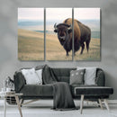 Bison Wall Art Canvas Print – Framed Buffalo American Bison