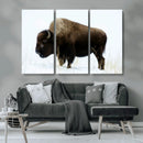 Bison Wall Art Canvas Print – Framed Western Wildlife