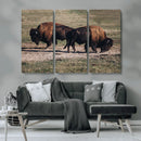 Bison Wall Art Canvas Print – Framed Western Wildlife Modern