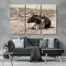Texas Longhorn Wall Art Canvas Print – Framed Country Living