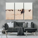 Bison Herd Wall Art Canvas Print – Framed Western Prairie