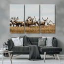 Elk Herd Wall Art Canvas Print – Framed Wildlife Photography