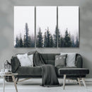 Foggy Forest Wall Art Canvas Print – Framed Misty Pines