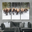 American Bison Herd Wall Art Canvas Print – Powerful Winter by MyGreatCanvas | Canvas Wall Art Prints | Photo Prints & Wall Decor