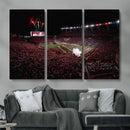 William Brice Stadium Wall Art Print – Baseball Game Room by MyGreatCanvas | Canvas Wall Art Prints | Photo Prints & Wall Decor
