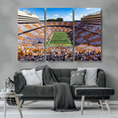 Tennessee Neyland Stadium Wall Art, Sports Arena Canvas by MyGreatCanvas | Canvas Wall Art Prints | Photo Prints & Wall Decor