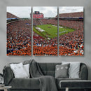 Jordan-Hare Stadium Wall Art Canvas Print, College Sports by MyGreatCanvas | Canvas Wall Art Prints | Photo Prints & Wall Decor