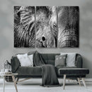 Wild Old Elephant Wall Art Canvas Print
