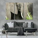 Wild Elephant Wall Art Canvas Print by MyGreatCanvas | Canvas Wall Art Prints | Photo Prints & Wall Decor