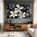 Plumeria Frangipani Black Stone Canvas | White Flower Spa by MyGreatCanvas | Canvas Wall Art Prints | Photo Prints & Wall Decor