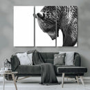 Black and White Grizzly 399 Bear Canvas Print Wall Art | by MyGreatCanvas | Canvas Wall Art Prints | Photo Prints & Wall Decor