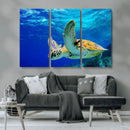 Sea Turtle Wall Art Canvas Print, Sea life in the Ocean Wall