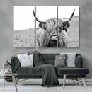 Newfoundland Cow Art Wall Art, Black White Cow Art Wall Art