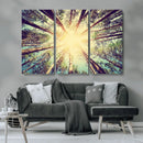 Tree and Sunshine Canvas Print