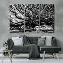 Mighty Angel Oak Wall Art | Angel Oak Tree Art Print by MyGreatCanvas | Canvas Wall Art Prints | Photo Prints & Wall Decor