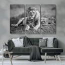 King Forest Lion Wall Art Canvas Print – Framed Majestic by MyGreatCanvas | Canvas Wall Art Prints | Photo Prints & Wall Decor