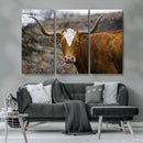 Texas Longhorn Canvas Wall Art - Longhorn Steer Canvas Wall by MyGreatCanvas | Canvas Wall Art Prints | Photo Prints & Wall Decor