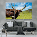 Longhorn and Cow Wall Art, Country Cow Wall Decor Canvas by MyGreatCanvas | Canvas Wall Art Prints | Photo Prints & Wall Decor