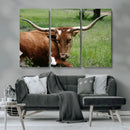 Longhorn Steer Canvas Wall Art – Rustic Nature Triptych