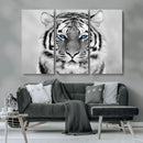 Black and White Tiger Wall Art Animal Canvas Print