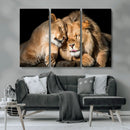 Lion and Lioness Wall Art Canvas Print – Framed African