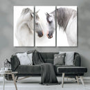 White Horse Wall Art Animal Canvas Print