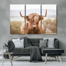 Scottish Serene Highland Cow Canvas Wall Art – Serene